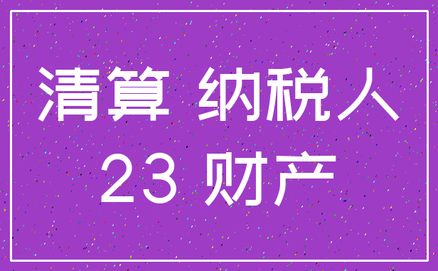 清算 纳税人_23 财产