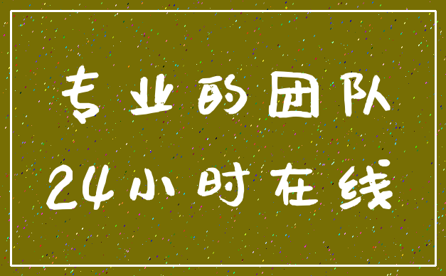 专业的团队_24小时在线