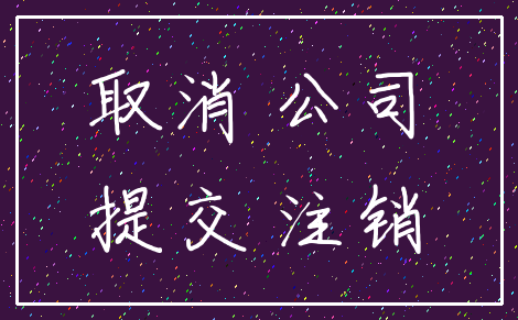 取消 公司_提交 注销