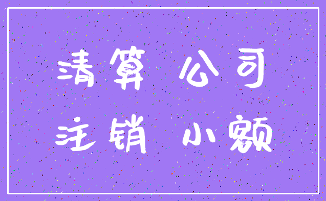 清算 公司_注销 小额