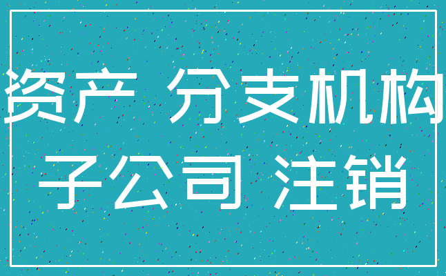 资产 分支机构_子公司 注销