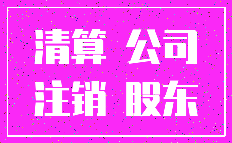 清算 公司_注销 股东