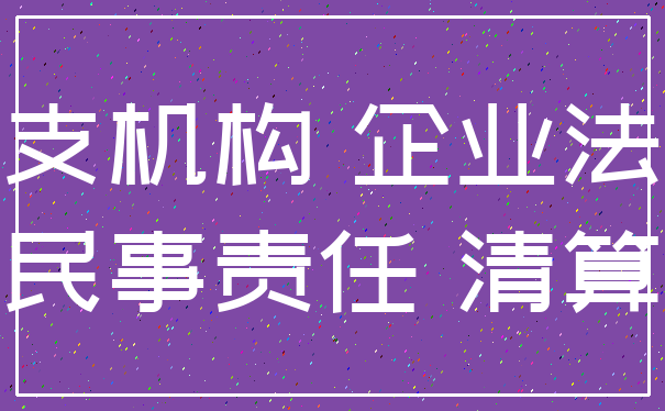 分支机构 企业法人_民事责任 清算
