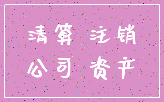 清算 注销_公司 资产