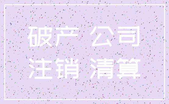 破产 公司_注销 清算