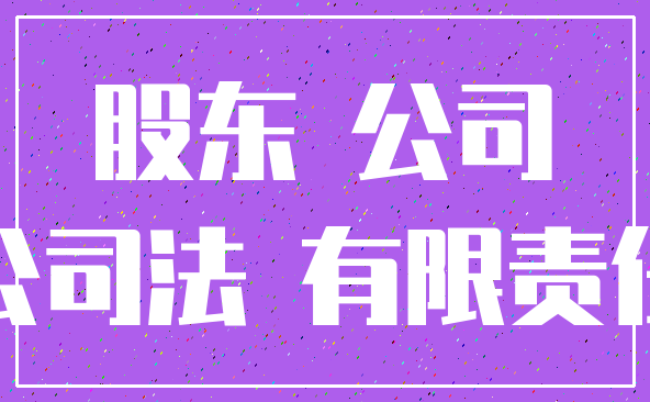 股东 公司_公司法 有限责任