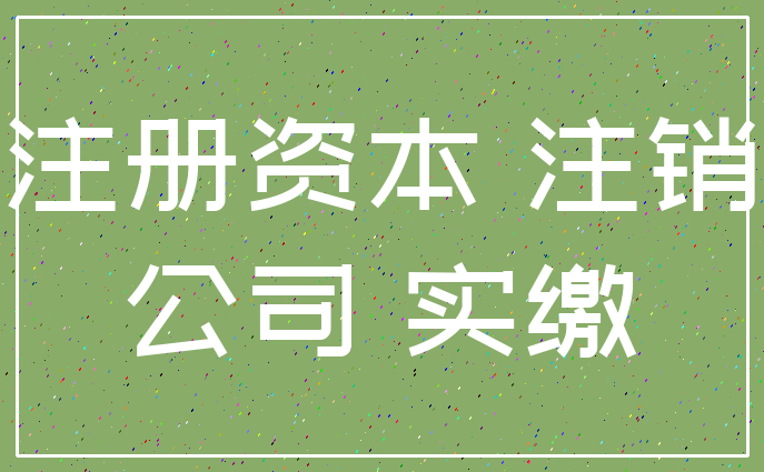 注册资本 注销_公司 实缴