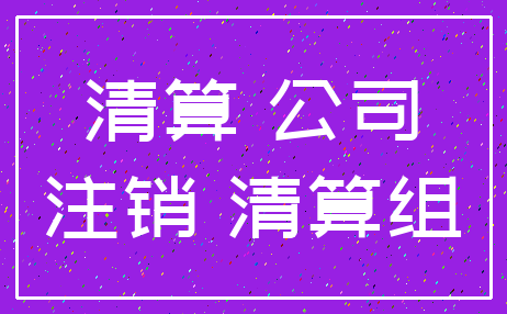 清算 公司_注销 清算组