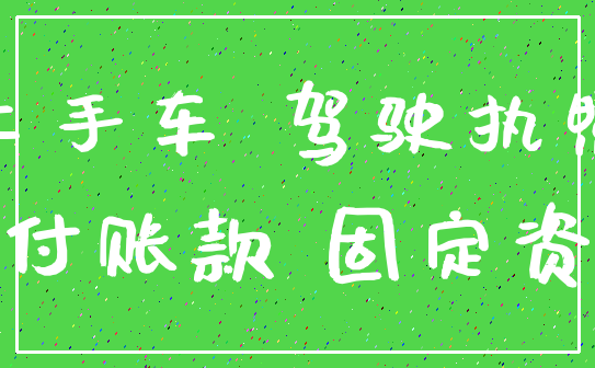二手车 驾驶执照_应付账款 固定资产