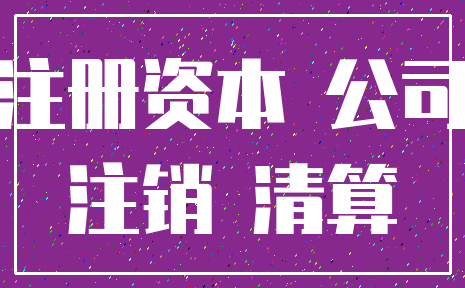 注册资本 公司_注销 清算
