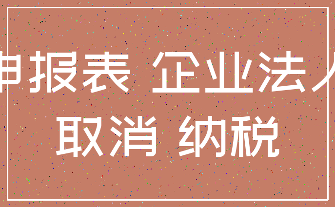 申报表 企业法人_取消 纳税