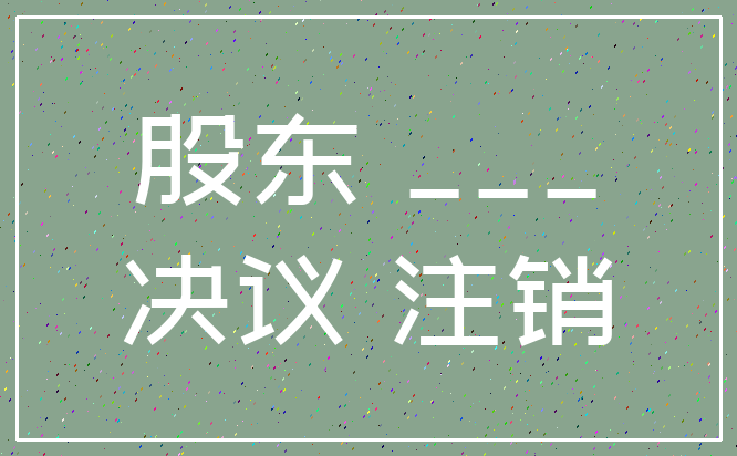 股东 ____决议 注销