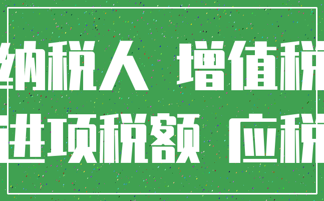纳税人 增值税_进项税额 应税