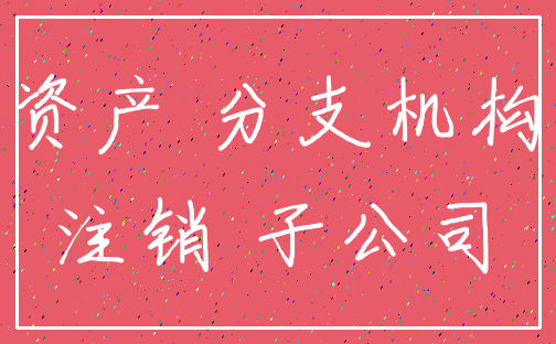 资产 分支机构_注销 子公司