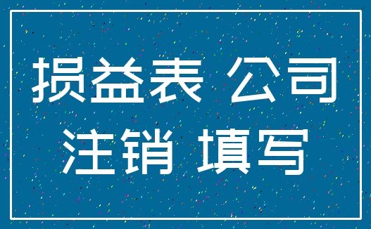 损益表 公司_注销 填写
