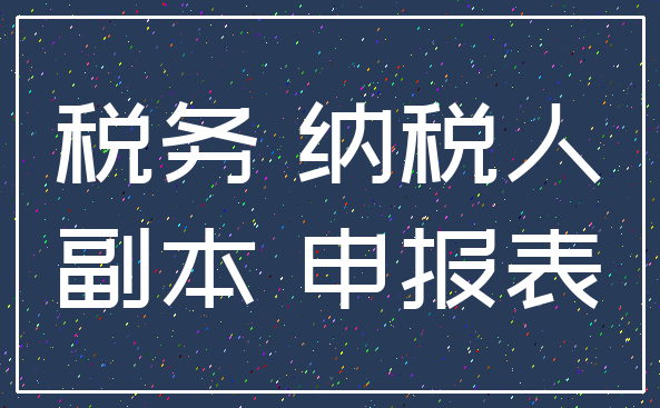 税务 纳税人_副本 申报表