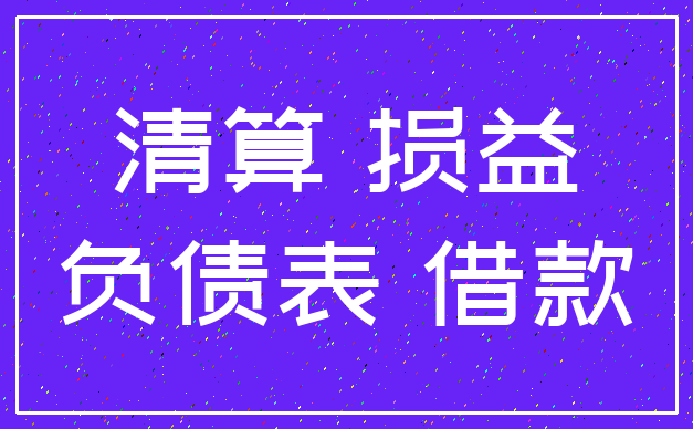 清算 损益_负债表 借款