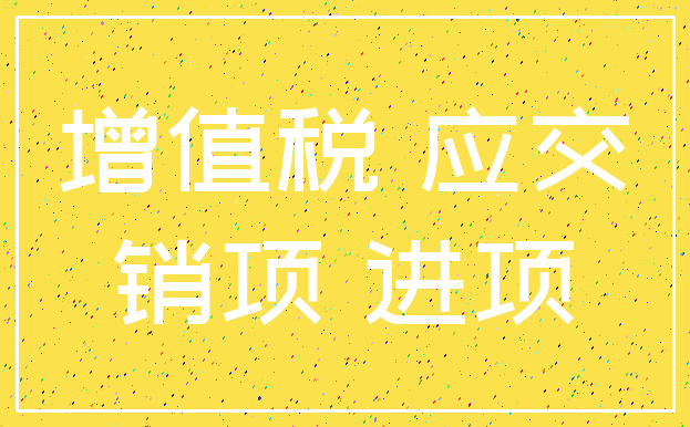 增值税 应交_销项 进项