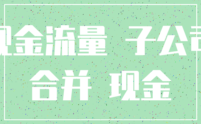 现金流量 子公司_合并 现金