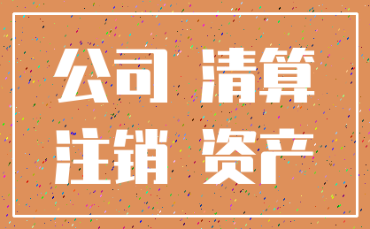 公司 清算_注销 资产