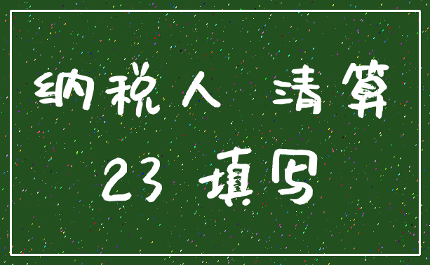 纳税人 清算_23 填写