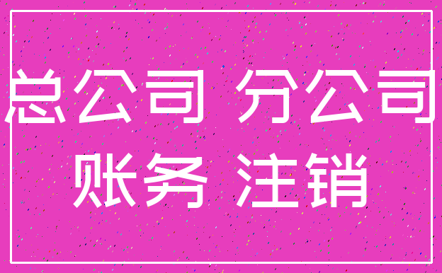 总公司 分公司_账务 注销