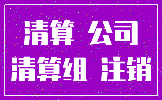 清算 公司_清算组 注销