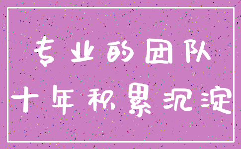 专业的团队_十年积累沉淀