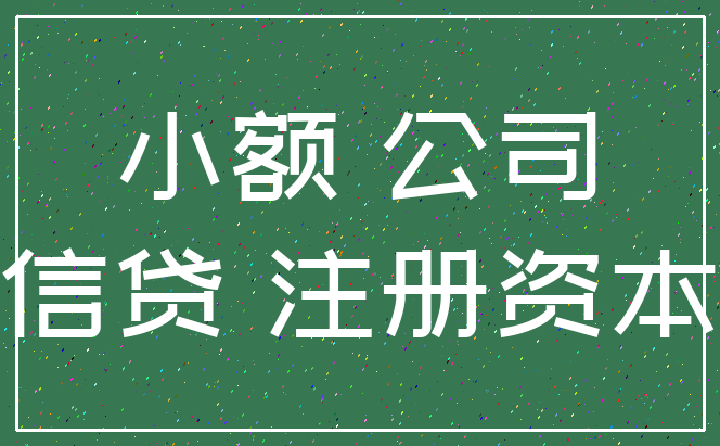 小额 公司_信贷 注册资本