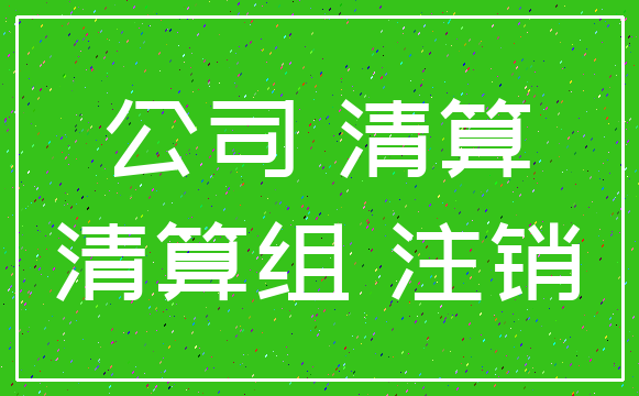 公司 清算_清算组 注销