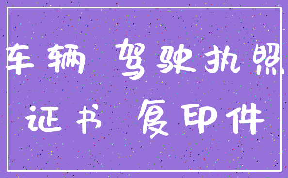 车辆 驾驶执照_证书 复印件