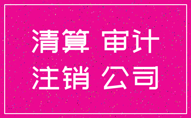 清算 审计_注销 公司