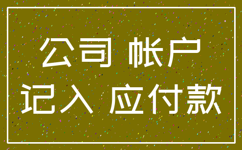 公司 帐户_记入 应付款