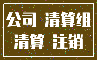 公司 清算组_清算 注销