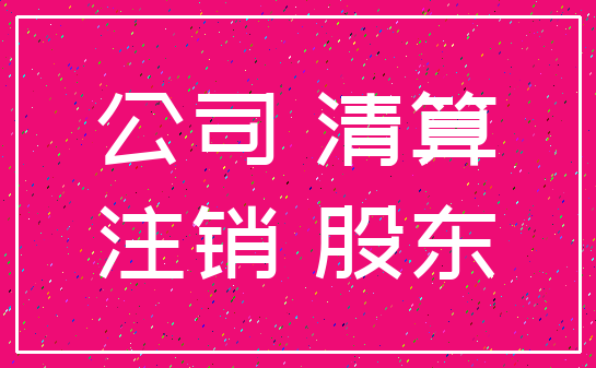 公司 清算_注销 股东
