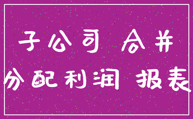 子公司 合并_分配利润 报表