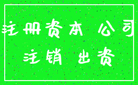 注册资本 公司_注销 出资