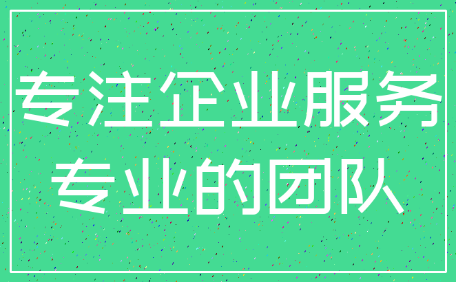专注企业服务_专业的团队