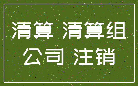 清算 清算组_公司 注销