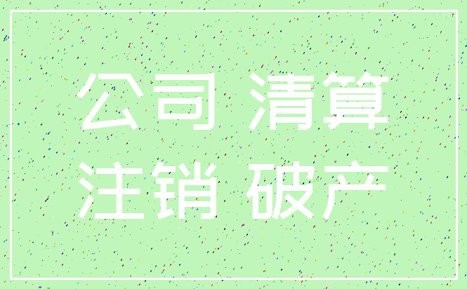 公司 清算_注销 破产