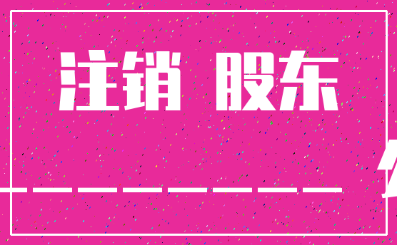 注销 股东___________ 公司
