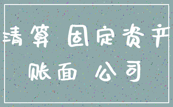 清算 固定资产_账面 公司