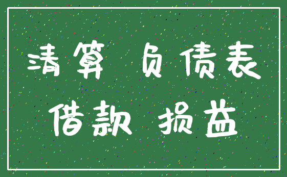 清算 负债表_借款 损益