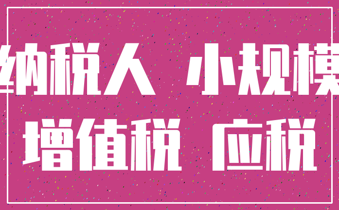 纳税人 小规模_增值税 应税