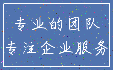 专业的团队_专注企业服务