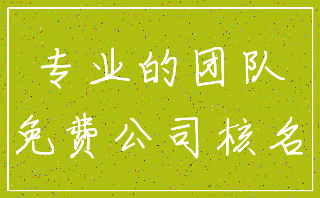 专业的团队_免费公司核名