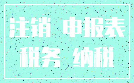 注销 申报表_税务 纳税