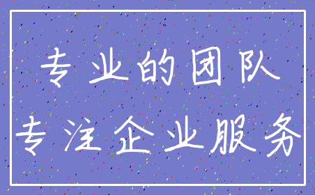 专业的团队_专注企业服务