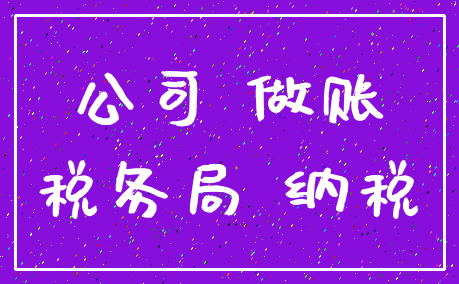公司 做账_税务局 纳税