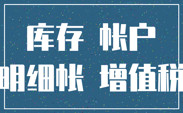 库存 帐户_明细帐 增值税
